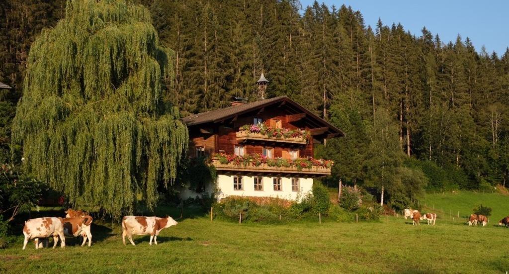Ellmauhof Villa Pfarrwerfen Ngoại thất bức ảnh