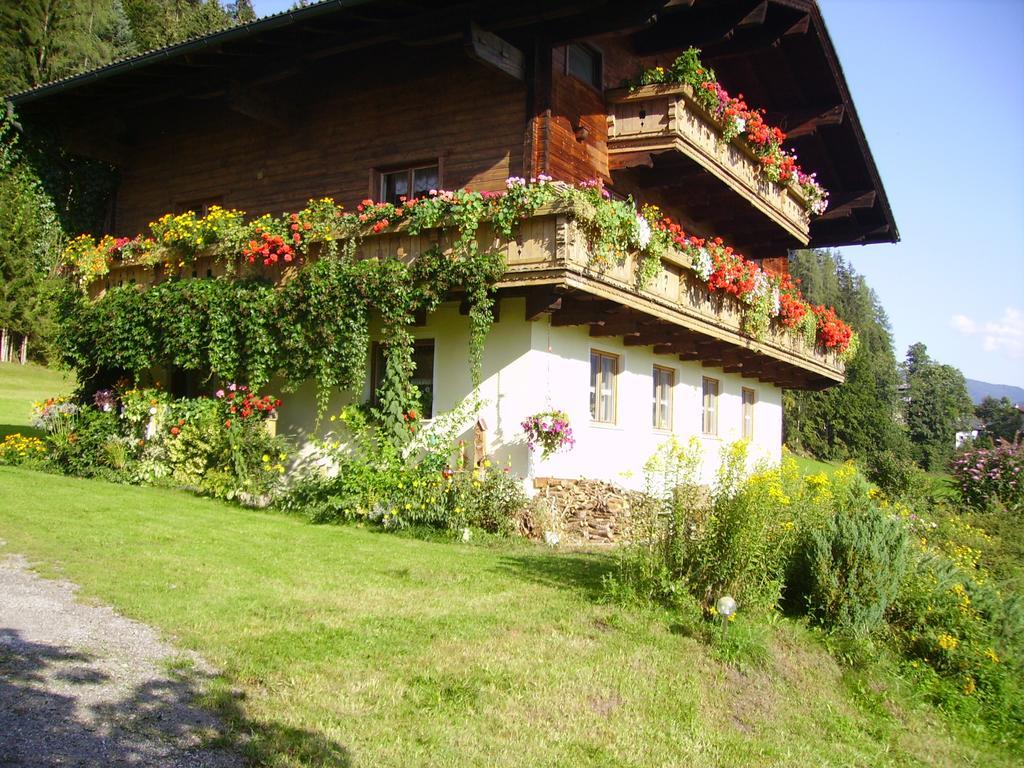 Ellmauhof Villa Pfarrwerfen Ngoại thất bức ảnh
